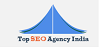 Top Marketing Agency India Logo
